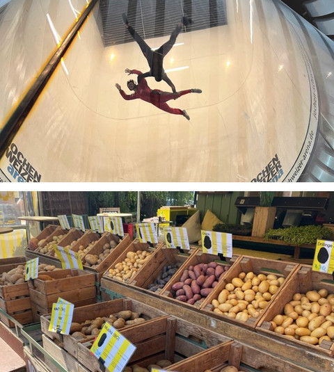 BORMANN Company Trip 2022